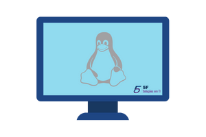 Teamviewer para Linux