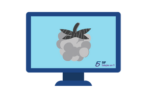 Teamviewer para Raspberry