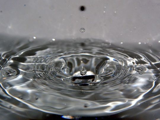 DICAS SUSTENTÁVEIS: ECONOMIZE ÁGUA E DINHEIRO COM SIMPLICIDADE E EFICIÊNCIA