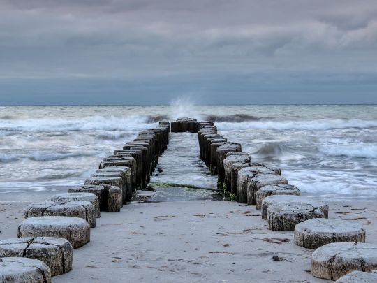 5 DICAS DE ECONOMIA DE ÁGUA: FAÇA SUA PARTE PELA SUSTENTABILIDADE E ECONOMIZE DINHEIRO