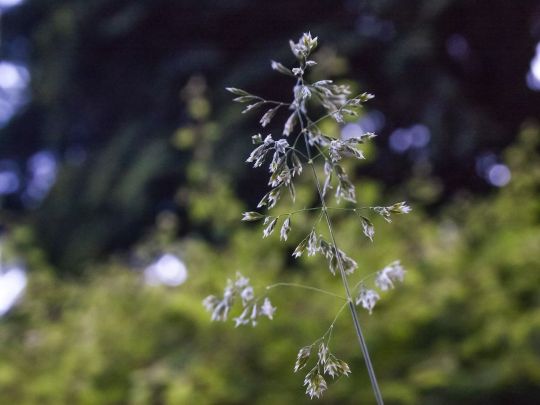 RUMO À SUSTENTABILIDADE HÍDRICA: ESTRATÉGIAS INTELIGENTES PARA REDUZIR CUSTOS E PRESERVAR RECURSOS