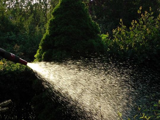 ÁGUA E DINHEIRO: A IMPORTÂNCIA DA CONSCIENTIZAÇÃO SOBRE O USO RESPONSÁVEL