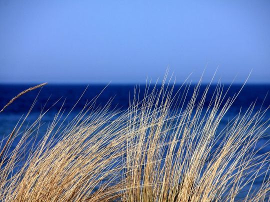 ÁGUA, DINHEIRO, VIDA: RUMO A UMA SUSTENTABILIDADE EQUILIBRADA