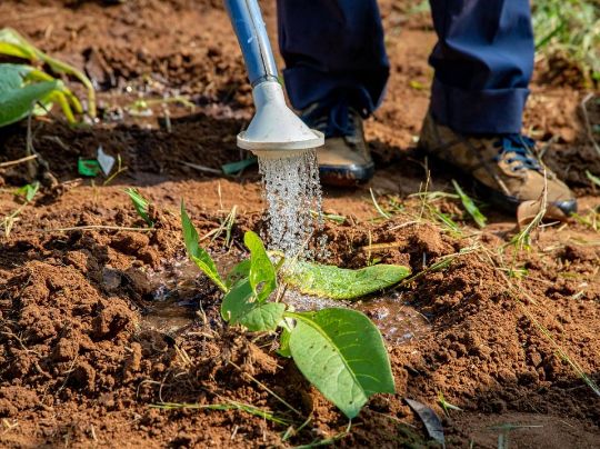 ECONOMIA DE ÁGUA E REDUÇÃO DE GASTOS: ESTRATÉGIAS PARA EMPRESÁRIOS