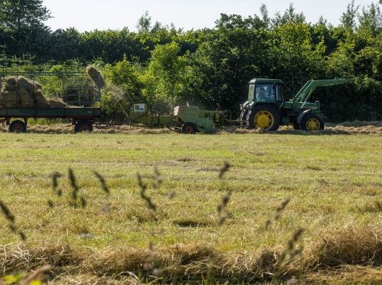 INOVAÇÕES EM ECONOMIA DE ÁGUA: RECNOLOGIAS E PRÁTICAS SUSTENTÁVEIS PARA O USO EFICIENTE