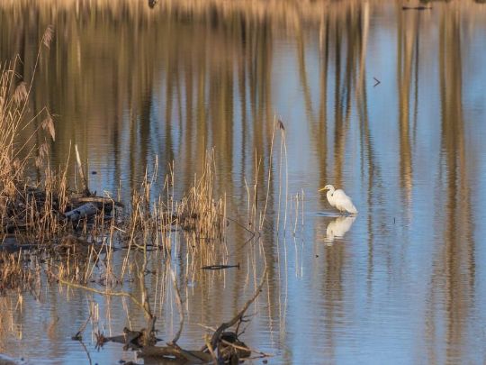 SUSTENTABILIDADE HÍDRICA: ECONOMIA DE ÁGUA E CONSCIÊNCIA AMBIENTAL