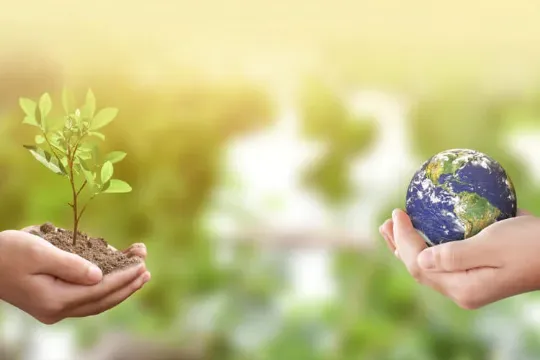 recuperação do meio ambiente brasil economia de água