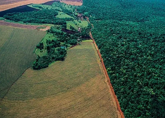reserva legal brasil economia de água