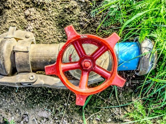 DICAS PARA ECONOMIZAR ÁGUA: COMO POUPAR ÁGUA E AUMENTAR A ECONOMIA DOMÉSTICA