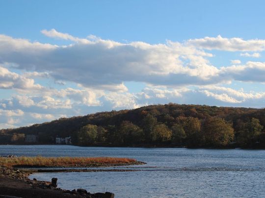 DICAS DE ECONOMIA DE ÁGUA PARA UMA CASA SUSTENTÁVEL E ECONÔMICA