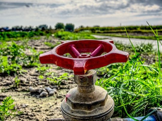 COMO ECONOMIZAR ÁGUA: DICAS PRÁTICAS PARA REDUZIR O CONSUMO DIÁRIO