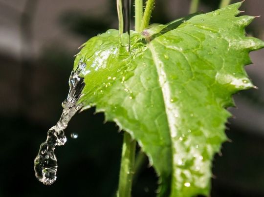 COMO AS EMPRESAS PODEM ECONOMIZAR ÁGUA: 10 DICAS PARA PROMOVER ECONOMIA DE ÁGUA E DINHEIRO