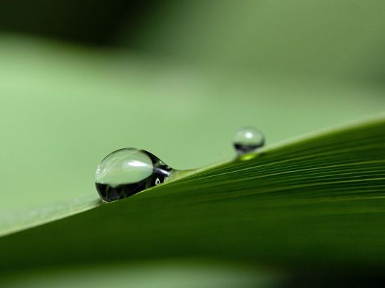 DESAFIO DA ECONOMIA DE ÁGUA: COMO PEQUENAS MUDANÇAS PODEM FAZER UMA GRANDE DIFERENÇA