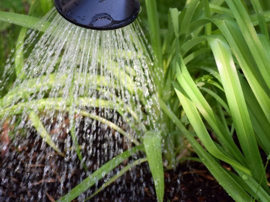 ECONOMIA DE ÁGUA: DEIXE SUAS FINANÇAS FLUÍREM