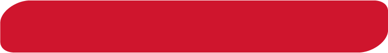Vermelho | PANTONE 186C