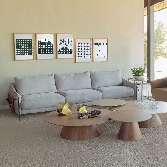 Sofas com mesas de centro