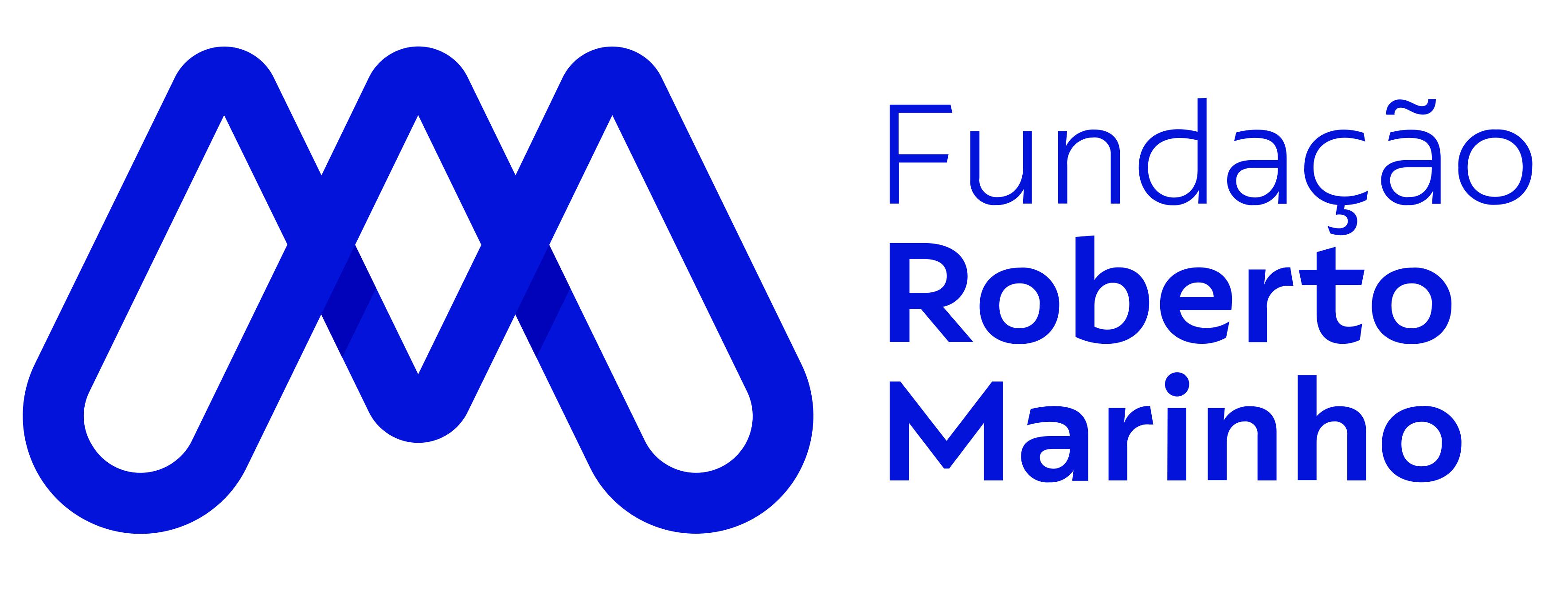 Fundação Roberto Marinho