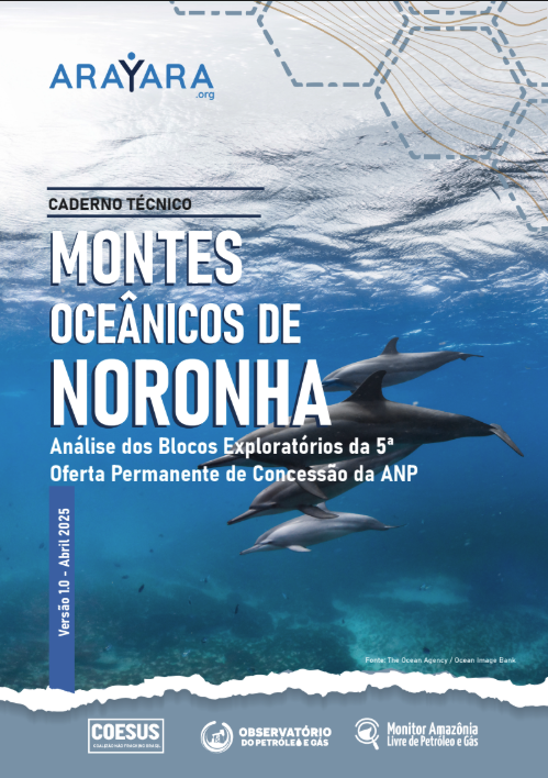 ESTUDO TÉCNICO MONTES OCEÂNICOS NORONHA