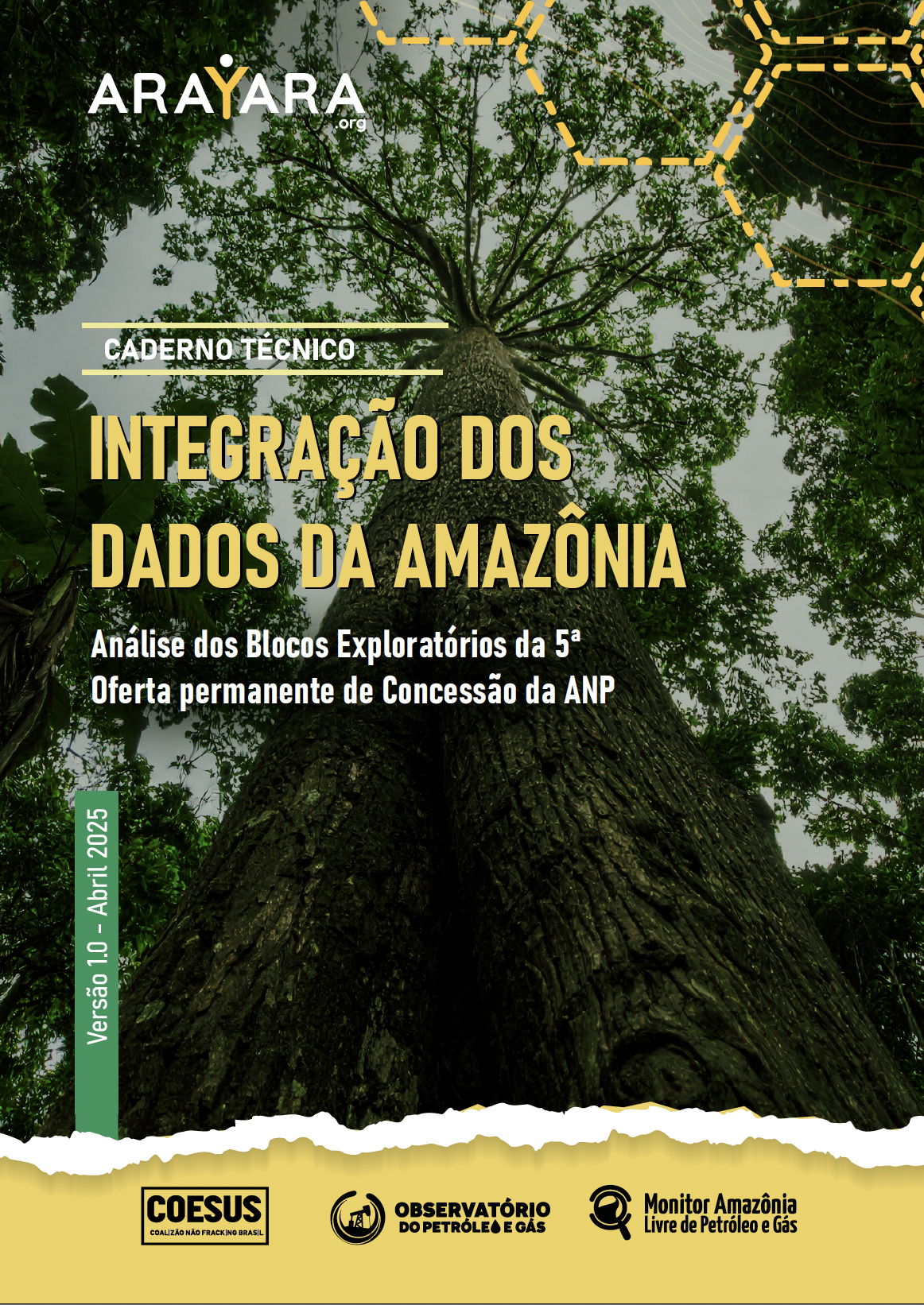 INTEGRAÇÃO DOS DADOS DA AMAZÔNIA