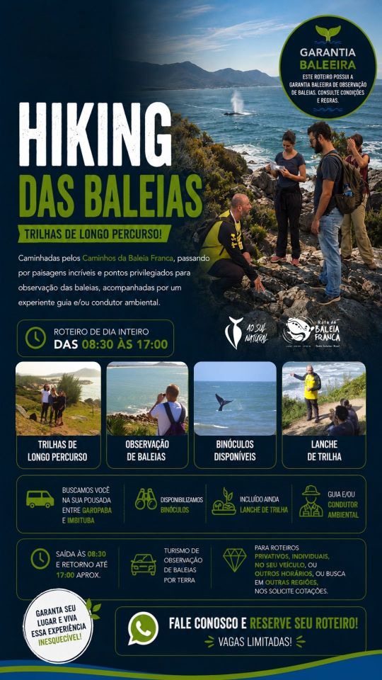 Baleia Essencial - avistamento de baleias em SC