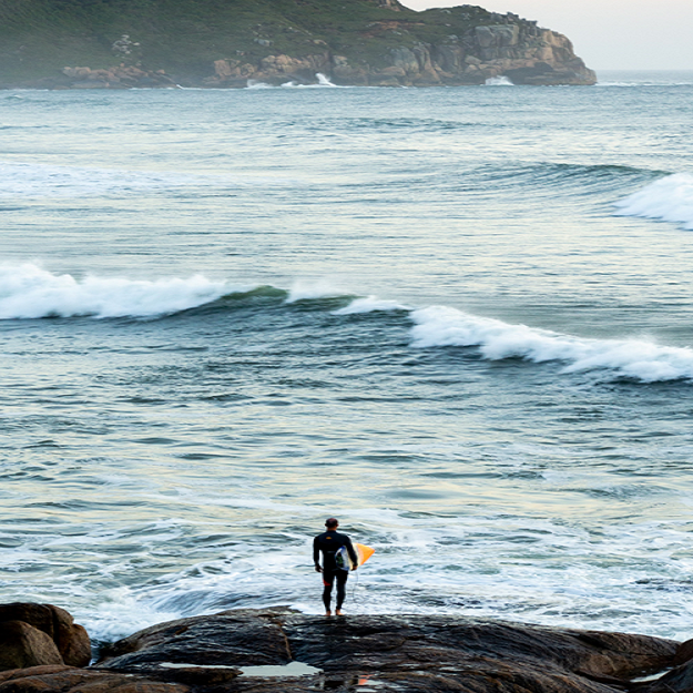 Locadora Praia do Rosa