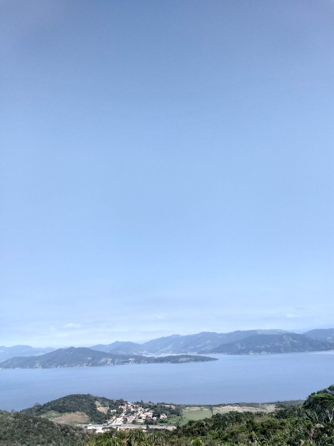vista apa baleia franca