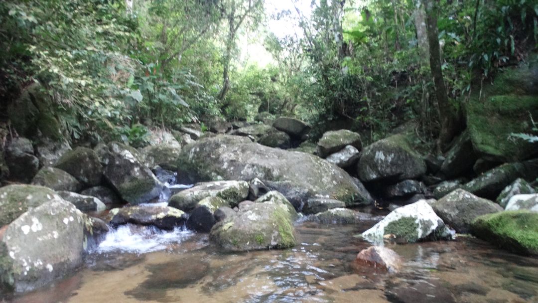 salto de paraquedas skyzimba imbituba