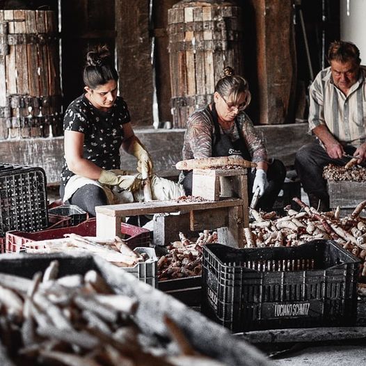 salto de paraquedas skyzimba imbituba