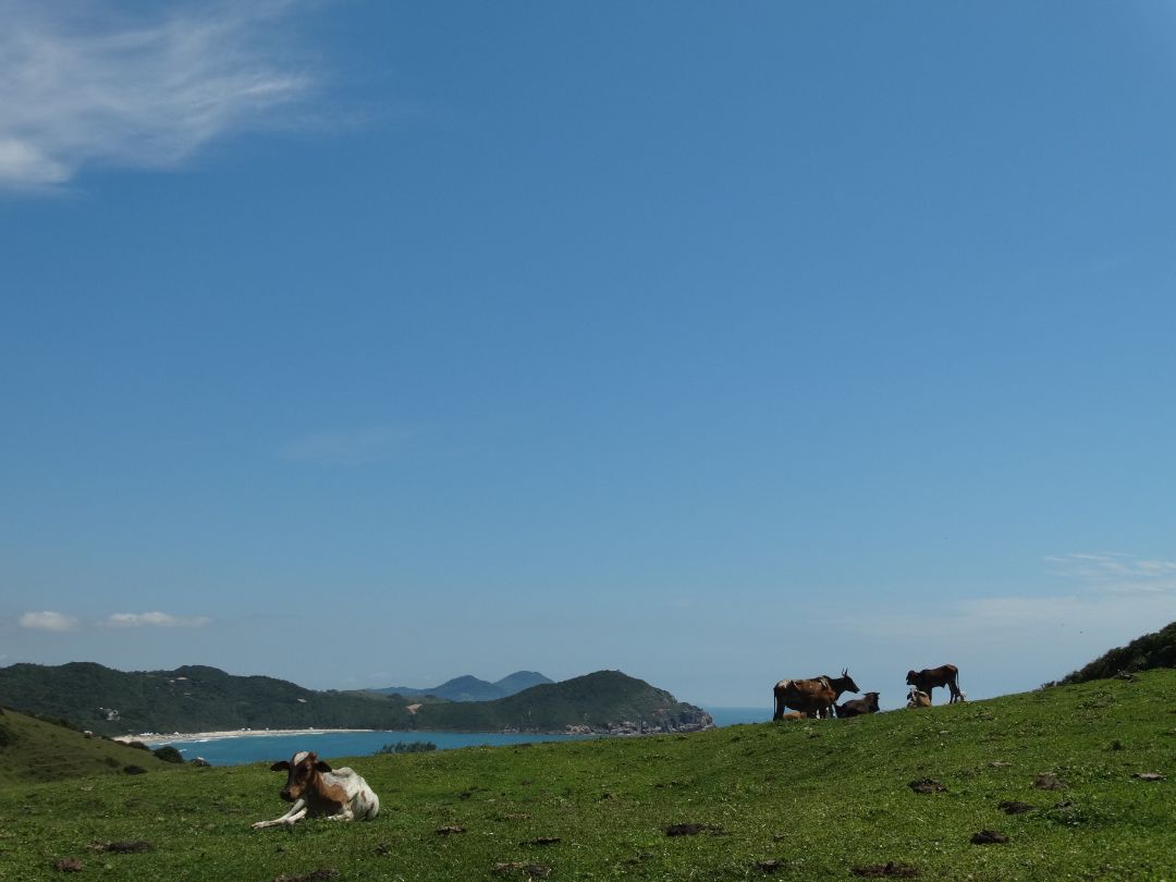 trilha praia vermelha santa catarina brasil