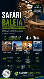 Safári Baleia -&nbsp;avistamento de baleias em SC