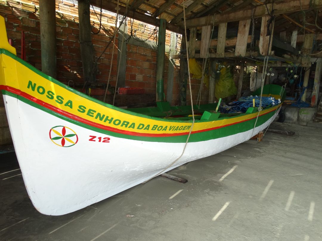 canoa de um pau só baleia franca sc