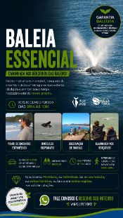 Baleia Essencial -&nbsp;avistamento de baleias em SC