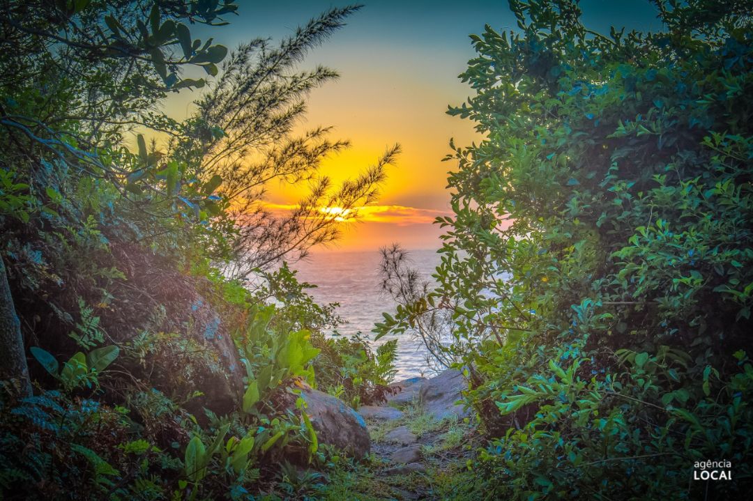 trilha praia do ouvidor - sc