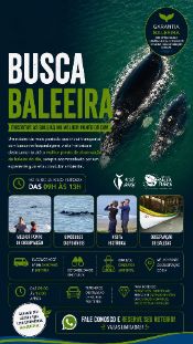 Busca Baleeira - observação de baleias em Santa Catarina