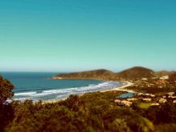 Conheça o “Projeto Jogue Limpo” e a preservação da Praia do Rosa