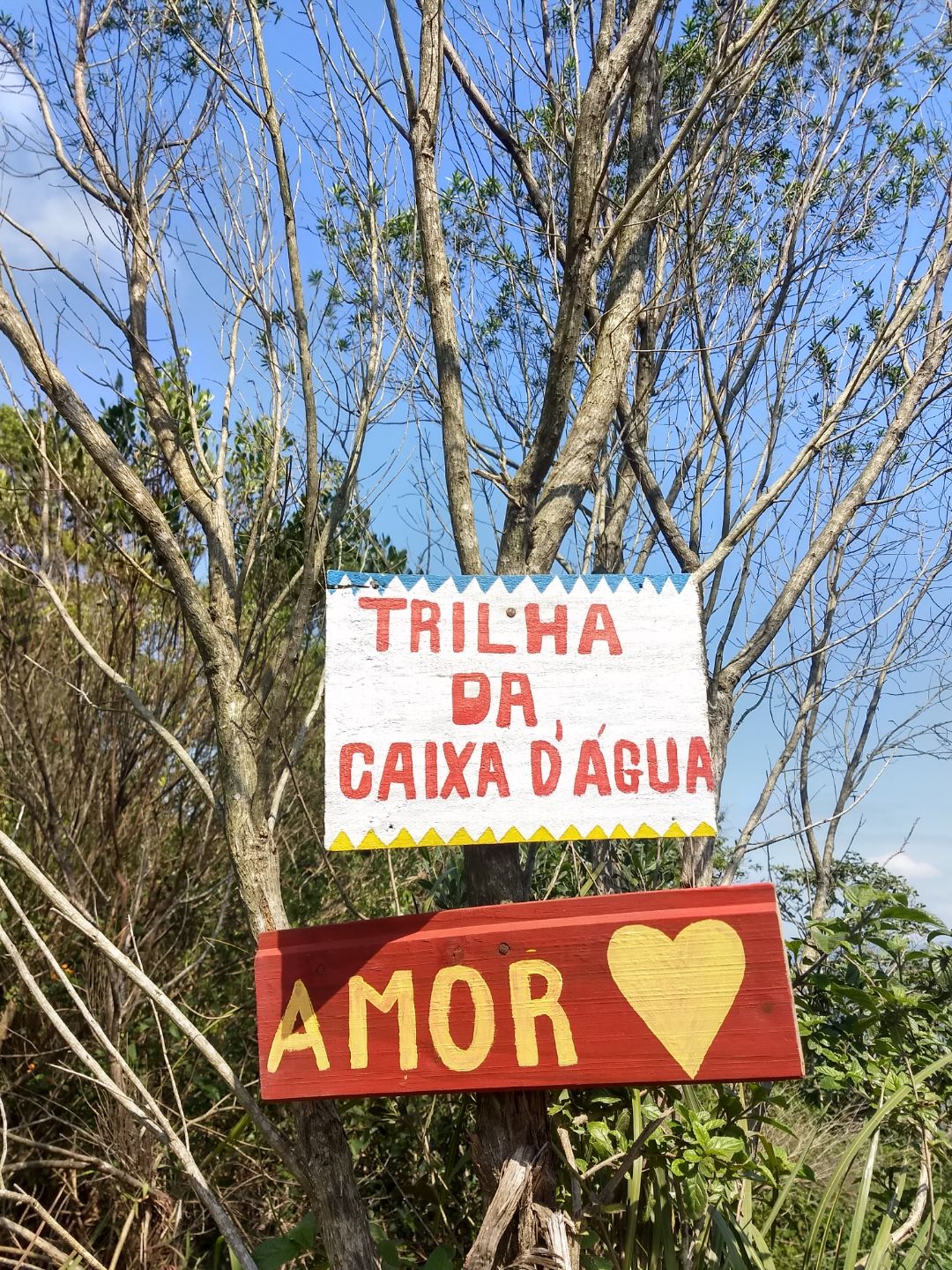 trilha da apa baleia franca