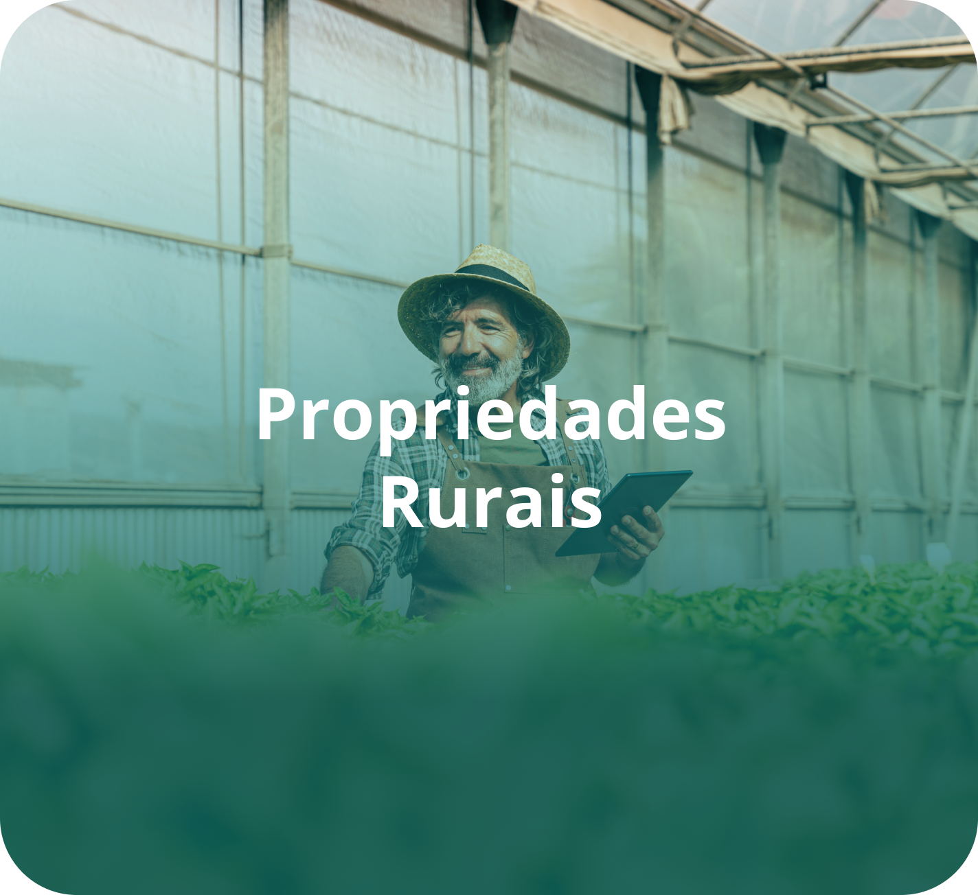 Propriedades Rurais