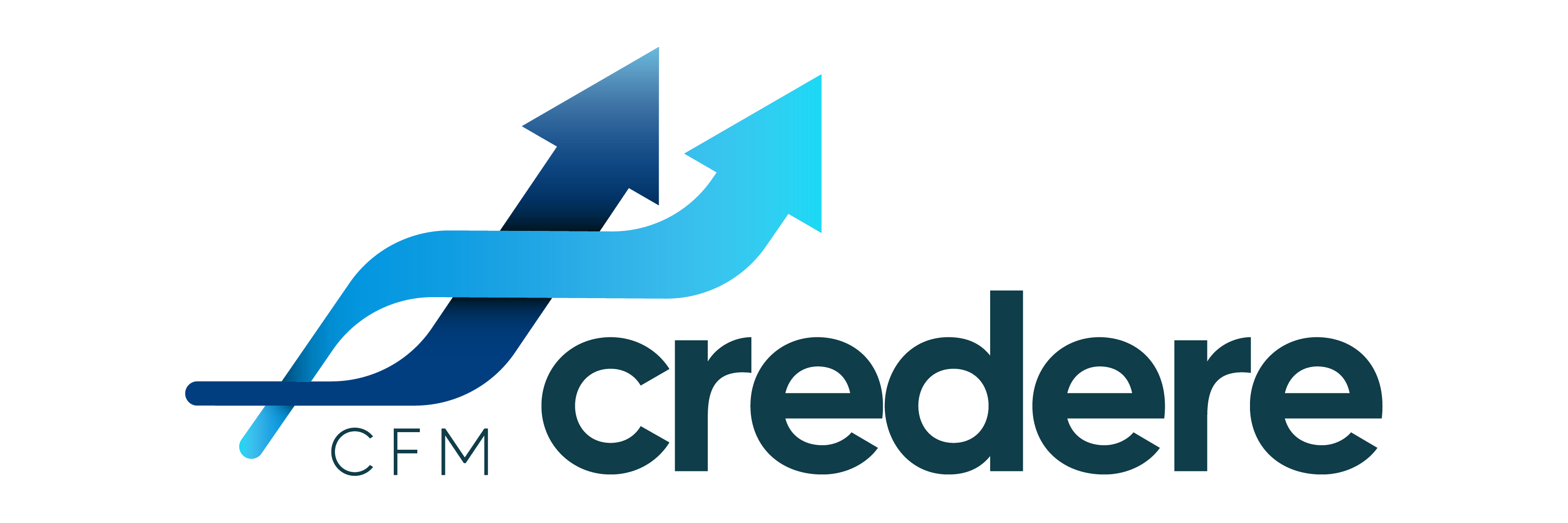 CONSULTORIA E FOMENTO MERCANTIL