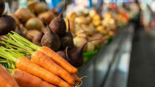 Conheça os benefícios dos tubérculos e das raízes tuberosas para a saúde