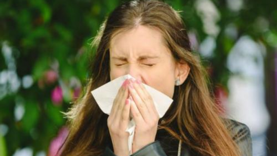Seis dicas para evitar as crises de rinite alérgica