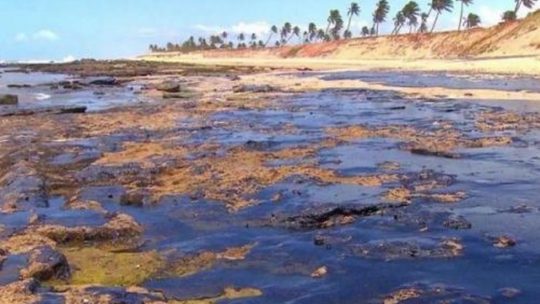 Óleo na praia: descubra como agir!