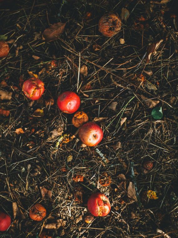 lixo de cozinha em carvão