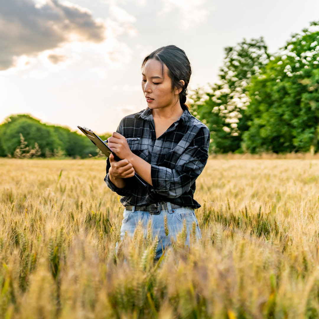 Curso técnico em agronegócios EAD