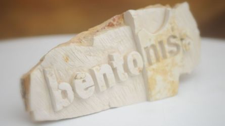 Bentonisa logo Pedra
