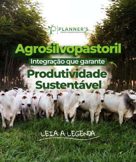 Agrosilvopastoril integração que garante produtividade sustentável
