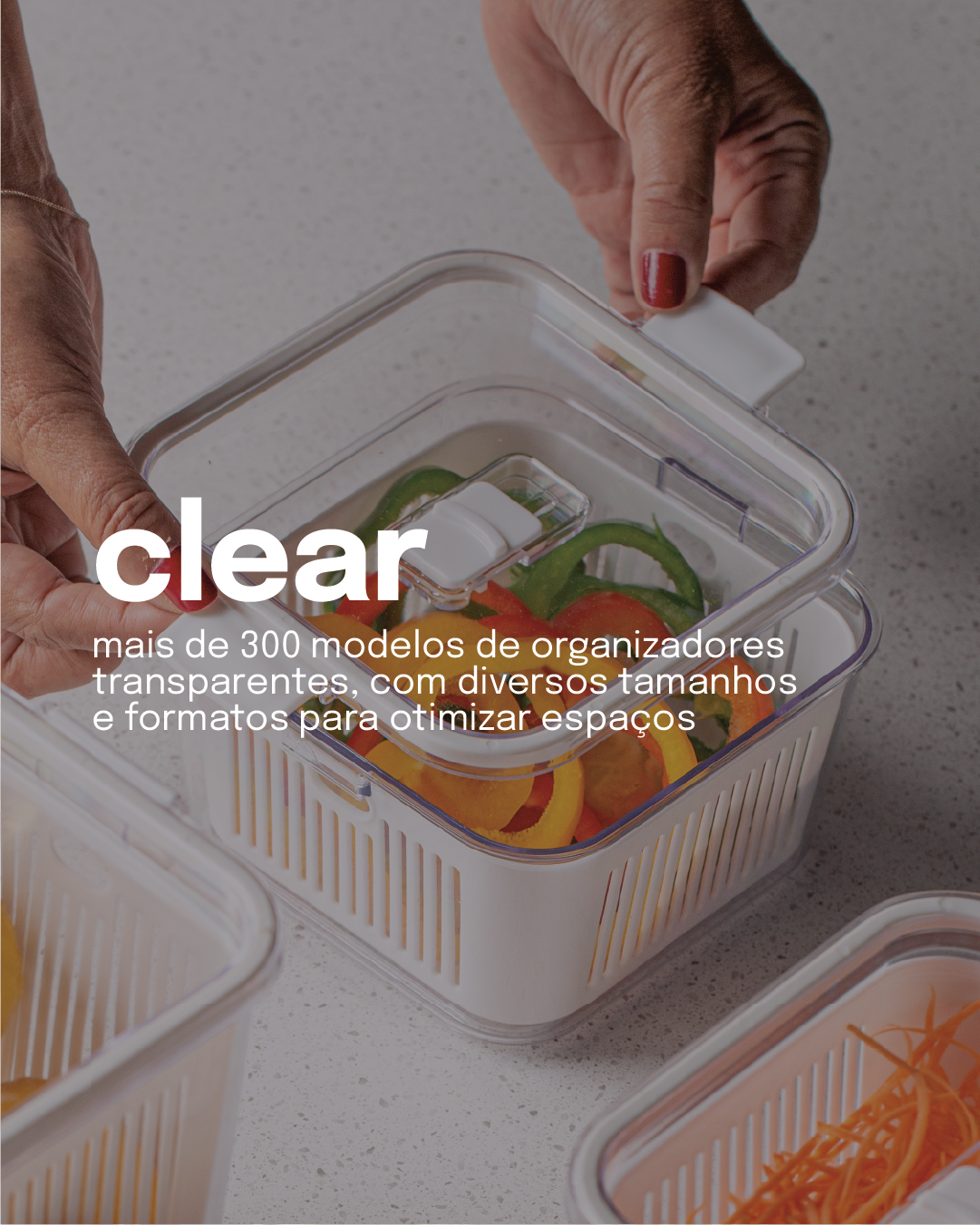 https://paramountplasticos.com.br/categoria-produto/clear/