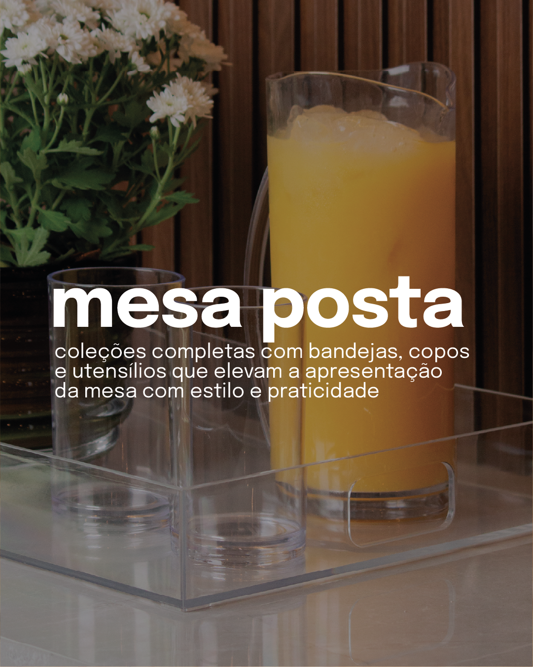 https://paramountplasticos.com.br/categoria-produto/mesa-posta/