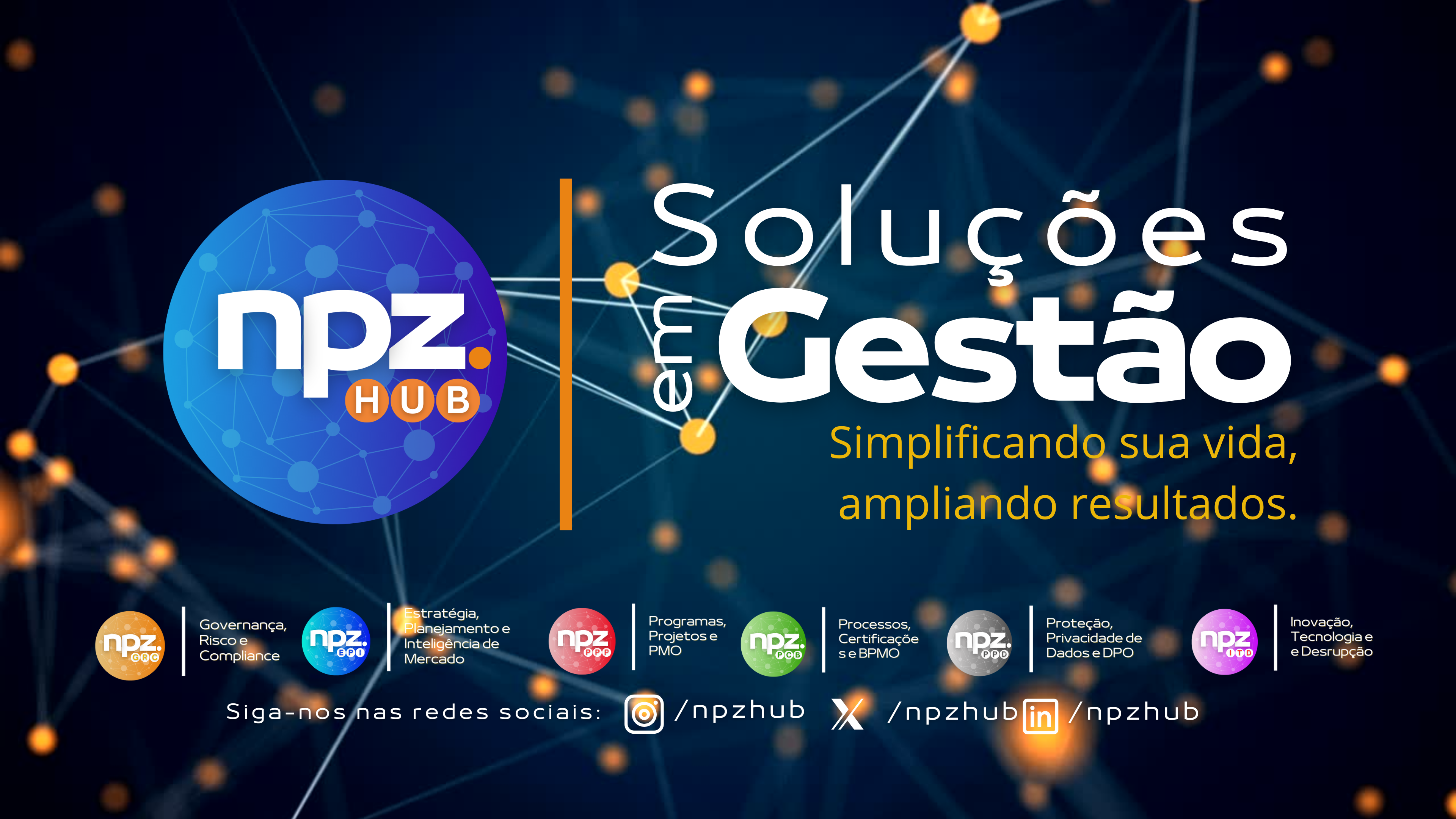 Npz Hub Solucoes em Gestao