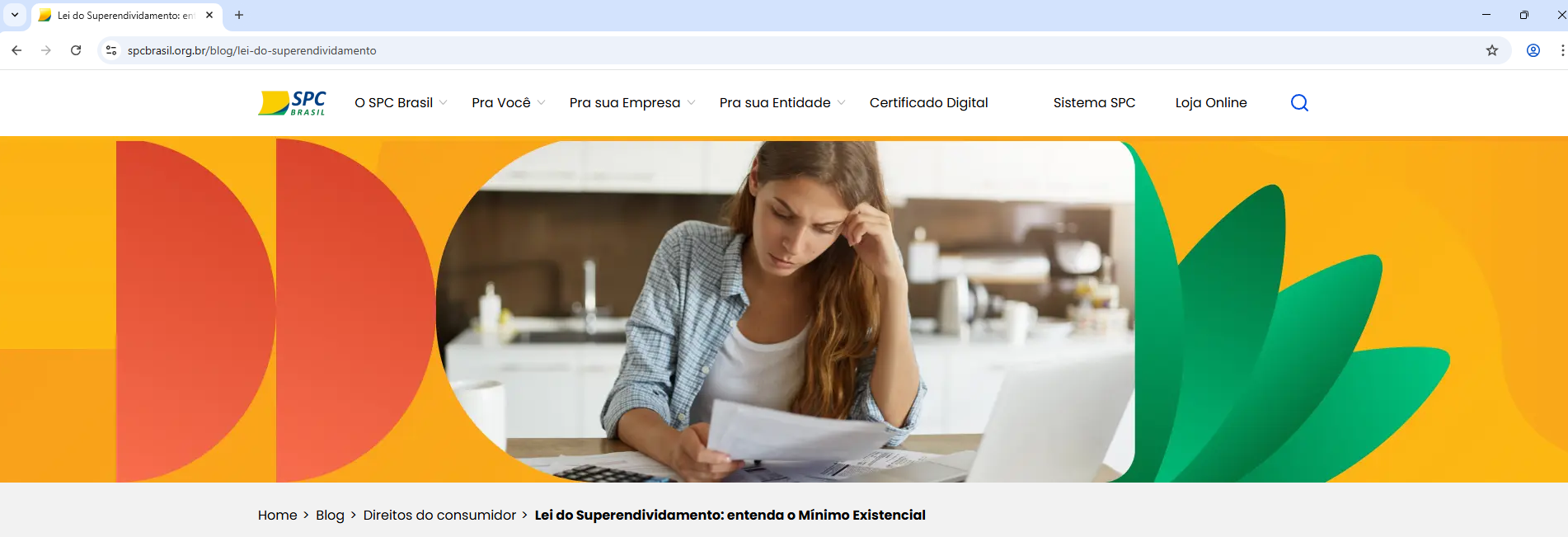 Consumidor | ermitão info