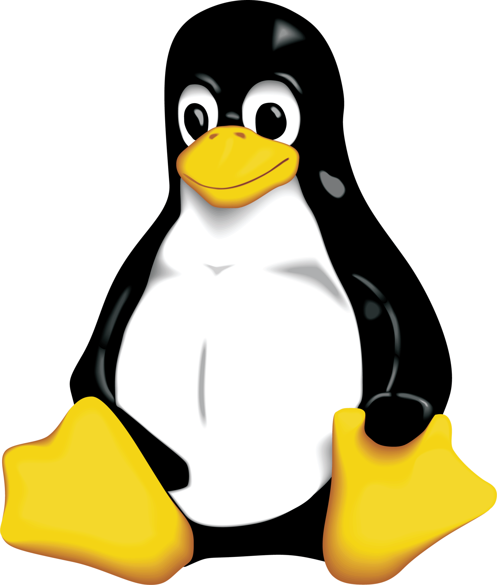 Cuidador Leigo